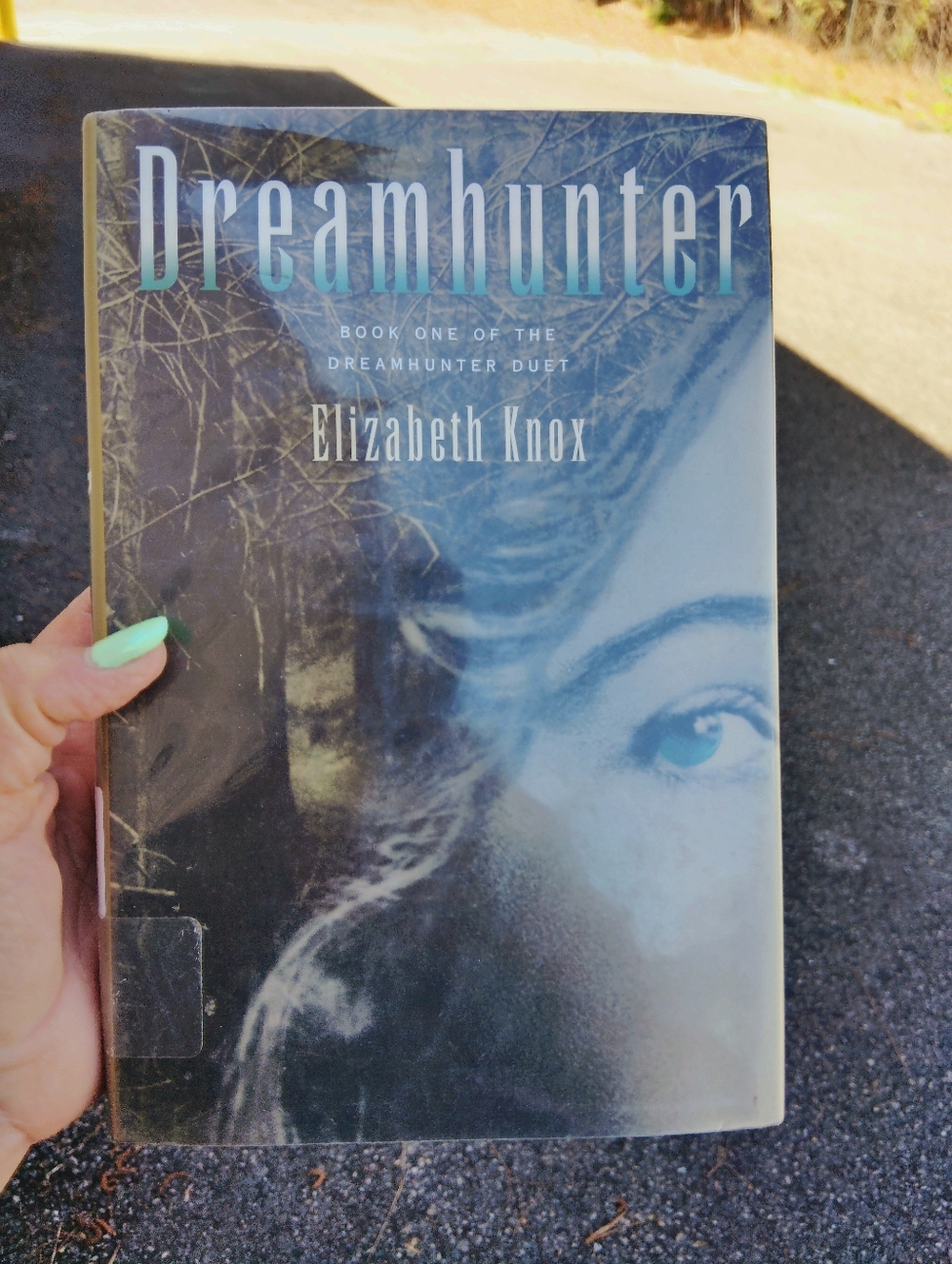 Dreamhunter by Elizabeth Knox Teens Young Adult YA Book 1 In Series